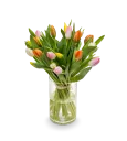Bouquet of tulips